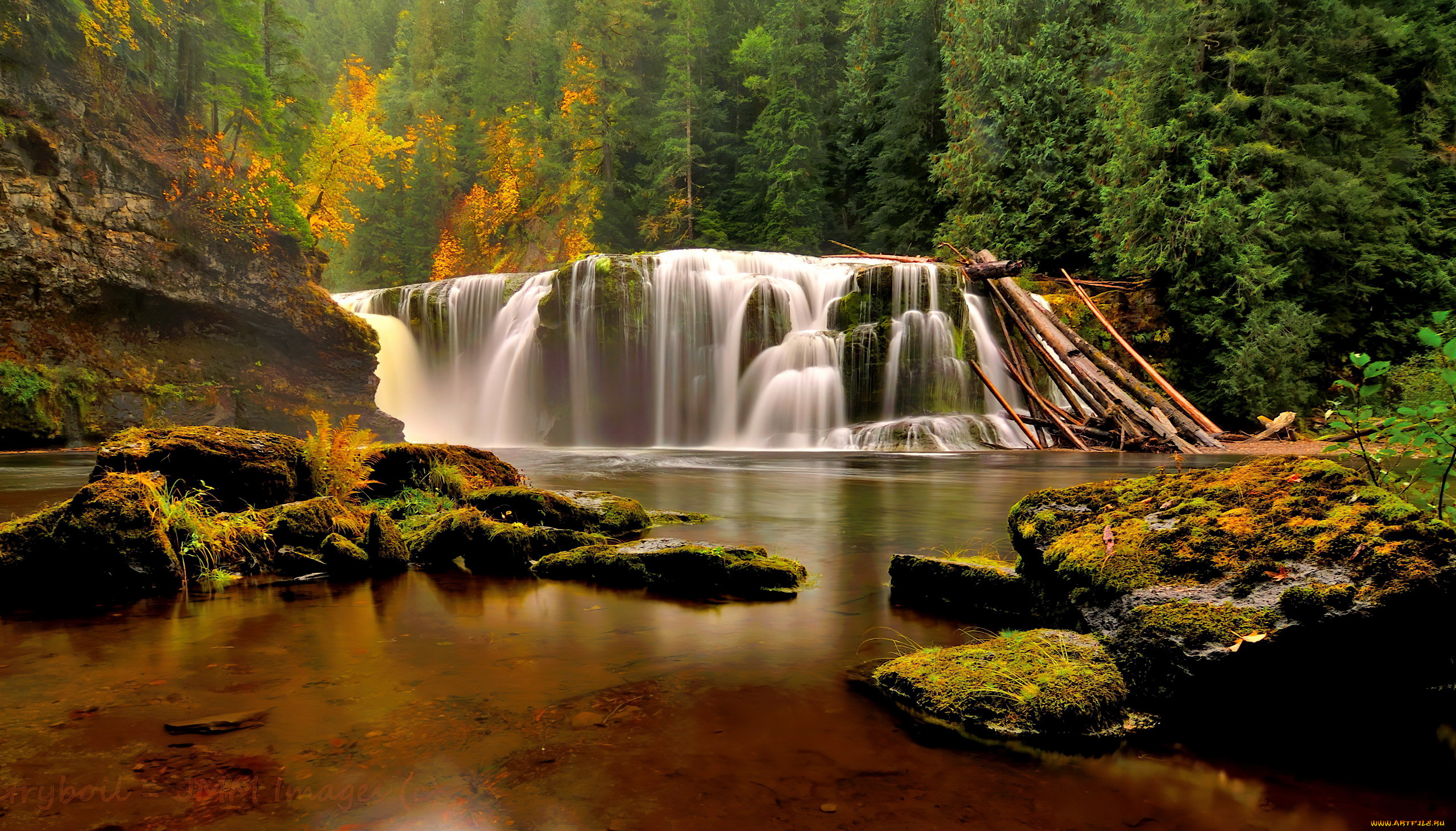 olympic national park, washington, , , olympic, national, park